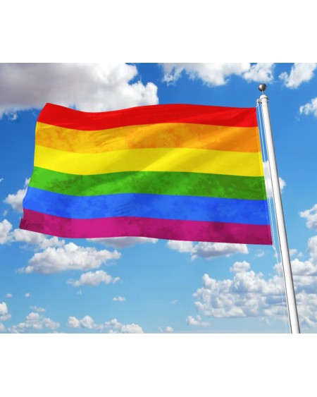 LGBT FLAG, Raimbow, lgbt banner, lgbt raimbow banner